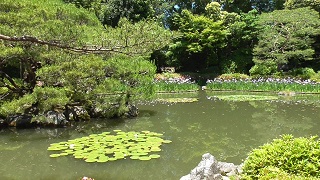 f:id:sarunokinobori:20200705195026j:plain