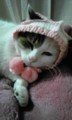20090128213109