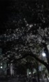 20090331200310