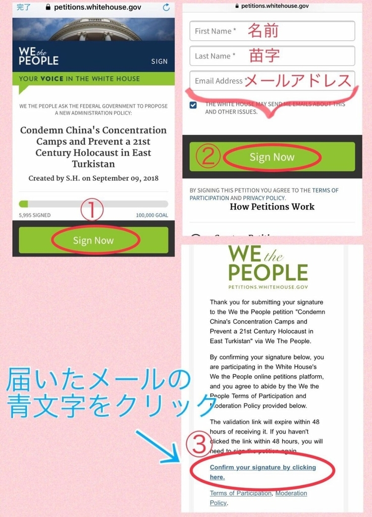 f:id:sarutobi_sasuke:20181007015739j:plain f:id:sarutobi_sasuke:20181007015739j:plain