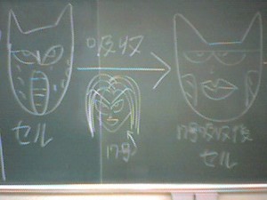 f:id:sarutora:20061226142031j:image