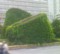 20090612013610