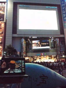 f:id:sarutora:20100523114845j:image