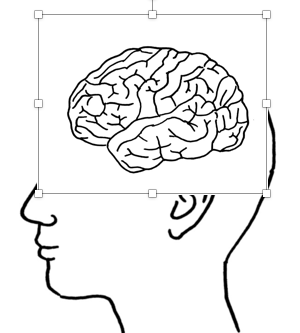 f:id:sarutora:20190905181824p:plain f:id:sarutora:20190905181824p:plain