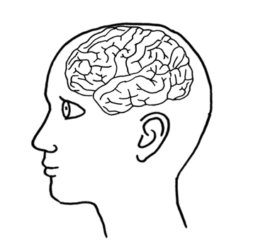 f:id:sarutora:20190905184109p:plain f:id:sarutora:20190905184109p:plain