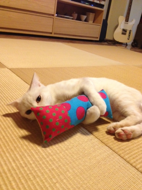 f:id:saruyamidou:20140902212115j:plain