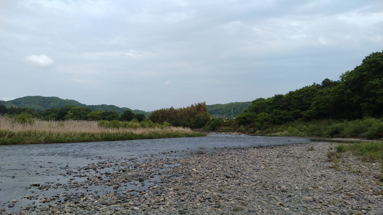 f:id:sas2222:20260508175937j:image f:id:sas2222:20260508175937j:image