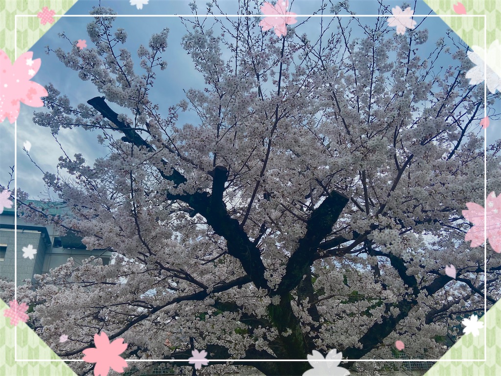 f:id:sas9inch:20250224125727j:image