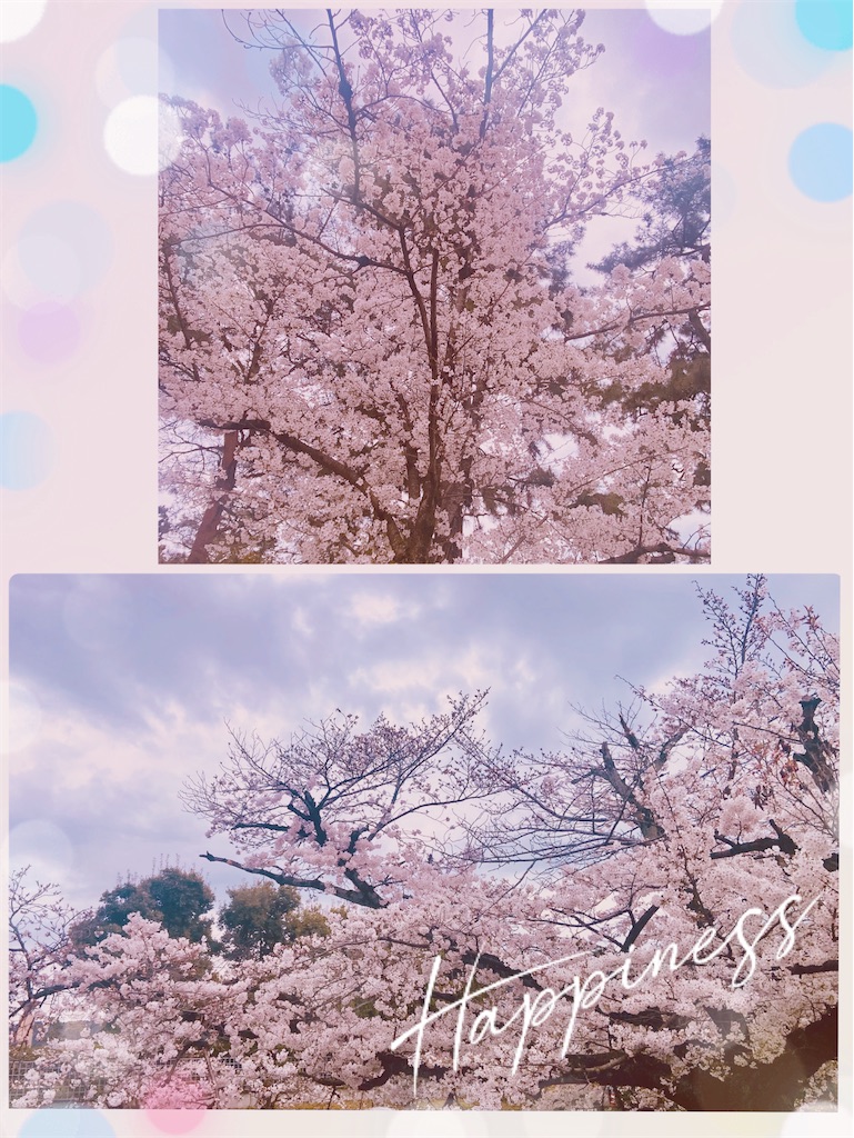 f:id:sas9inch:20250224141246j:image