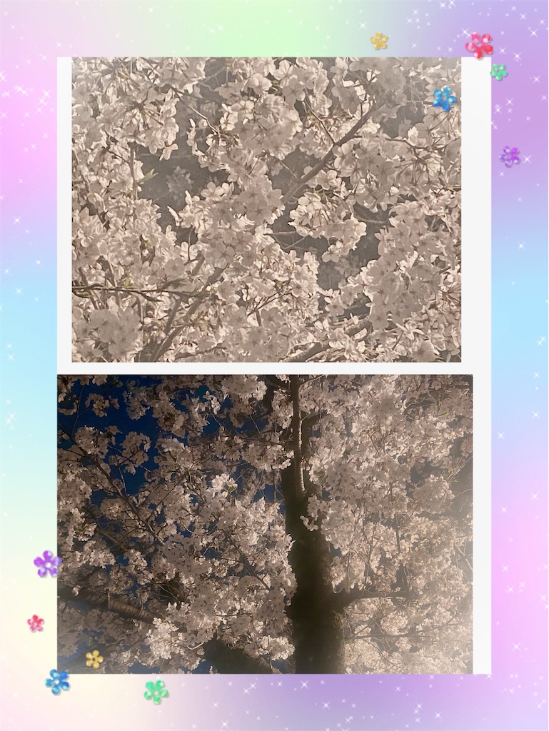 f:id:sas9inch:20250224141331j:image