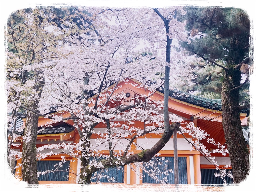 f:id:sas9inch:20250224145338j:image