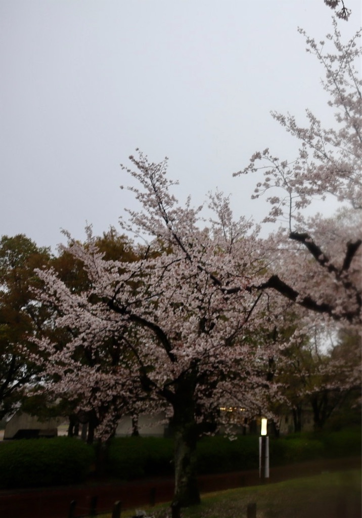 f:id:sas9inch:20260410142702j:image
