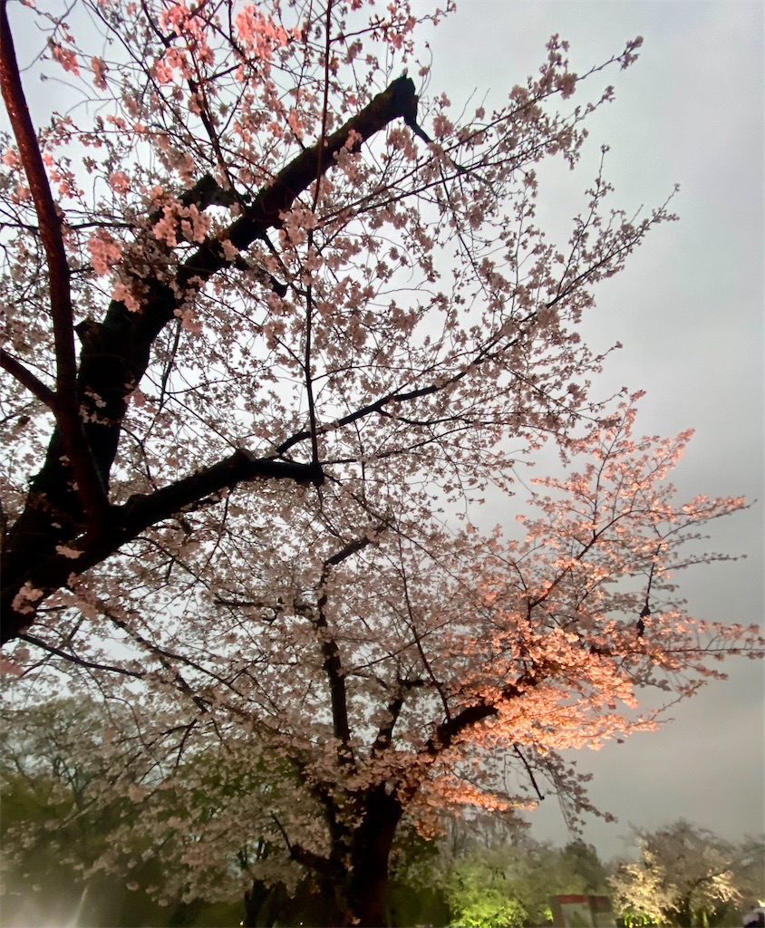 f:id:sas9inch:20260410143735j:image