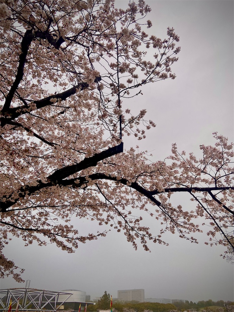 f:id:sas9inch:20260410143738j:image