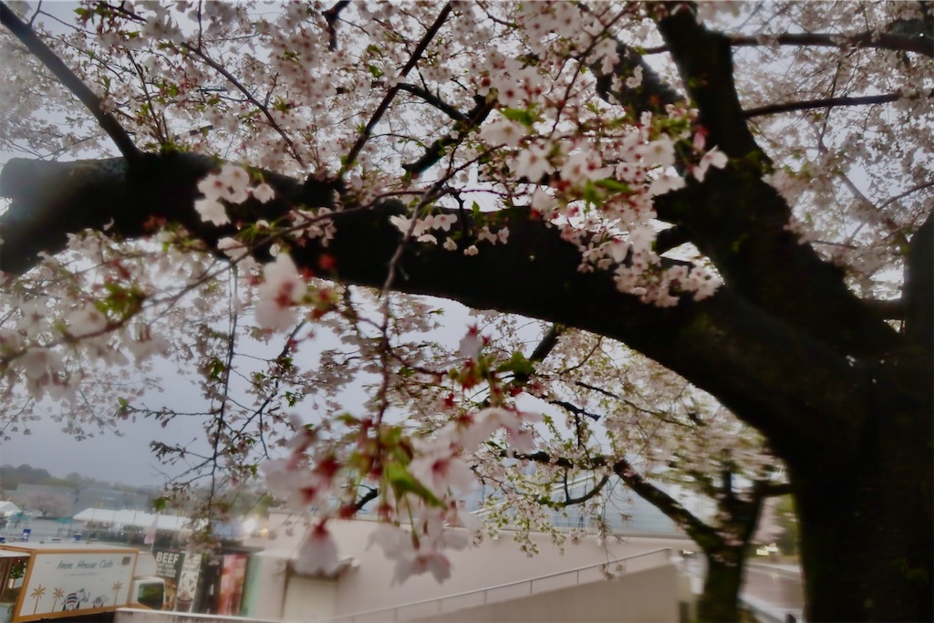 f:id:sas9inch:20260410143752j:image