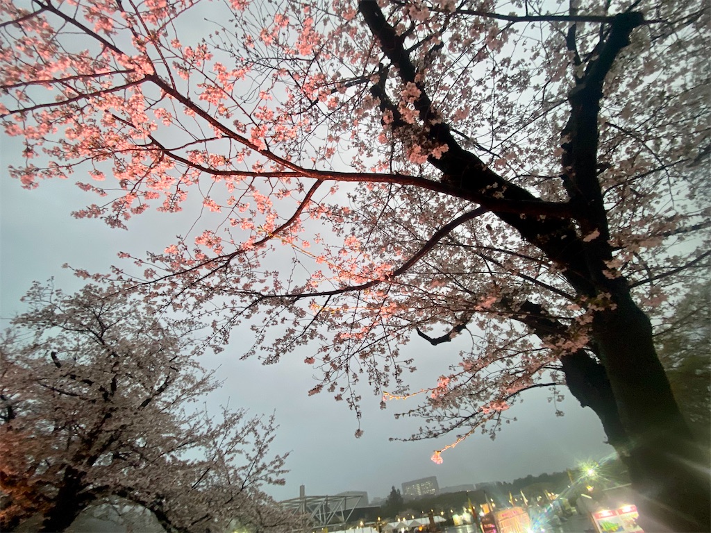 f:id:sas9inch:20260410145317j:image