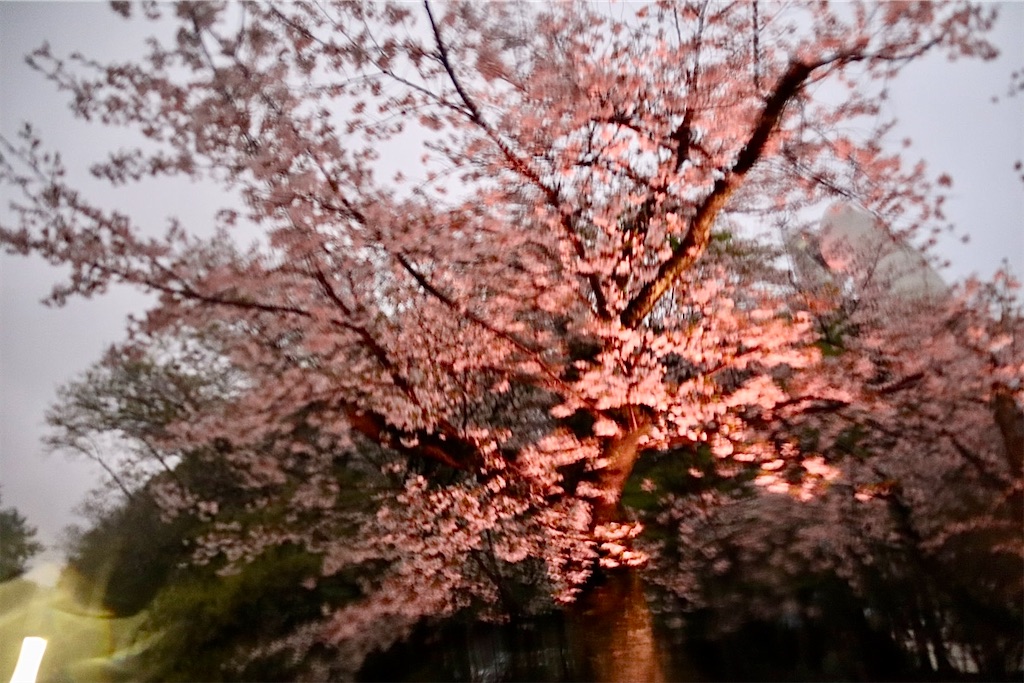 f:id:sas9inch:20260410145322j:image