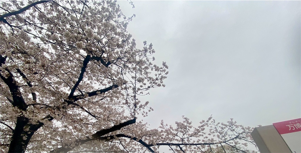 f:id:sas9inch:20260410151648j:image