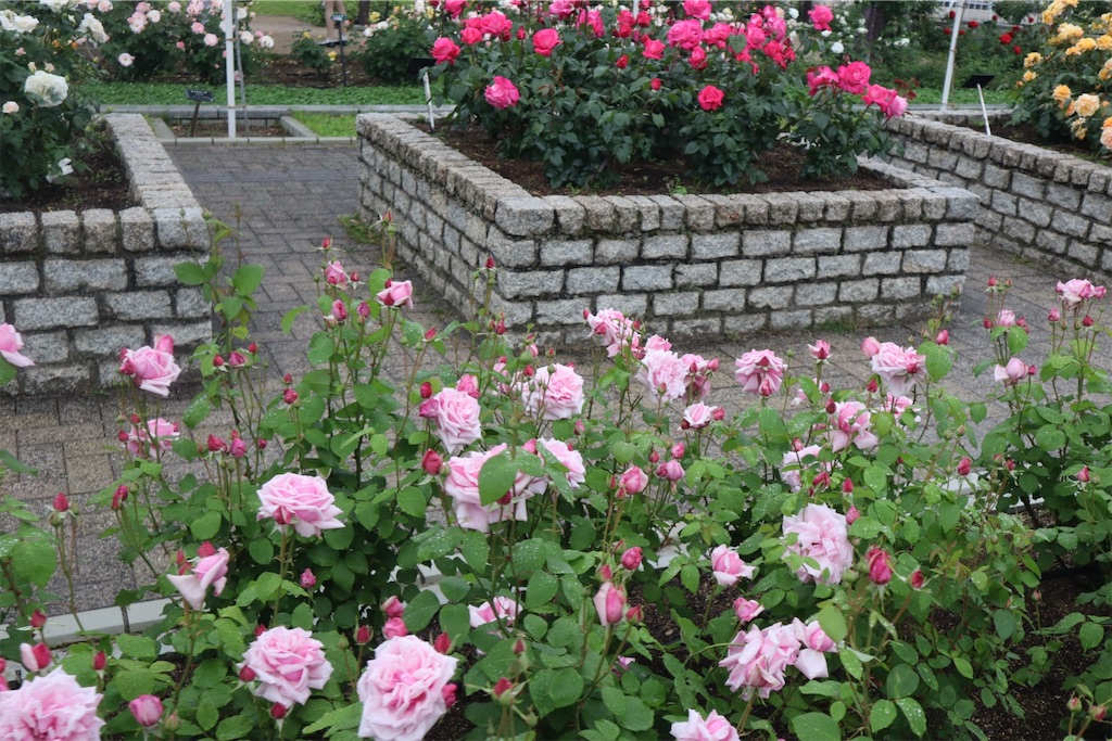 f:id:sas9inch:20260505125205j:image f:id:sas9inch:20260505125205j:image
