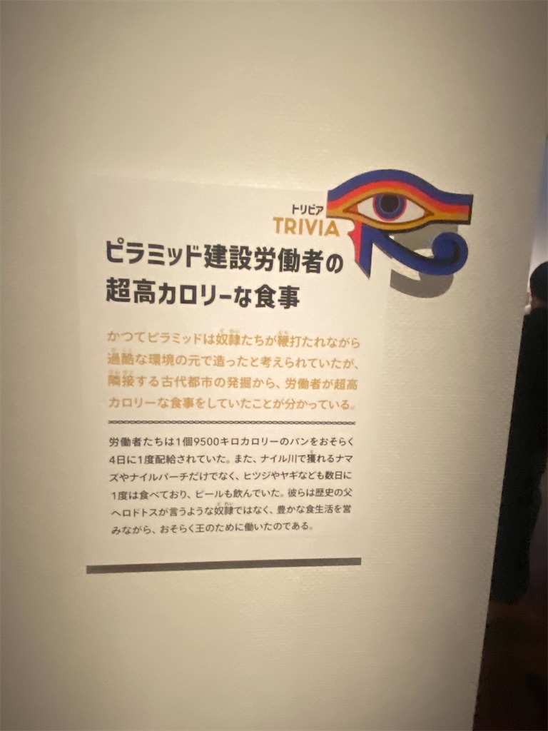 f:id:sas9inch:20260612193422j:image