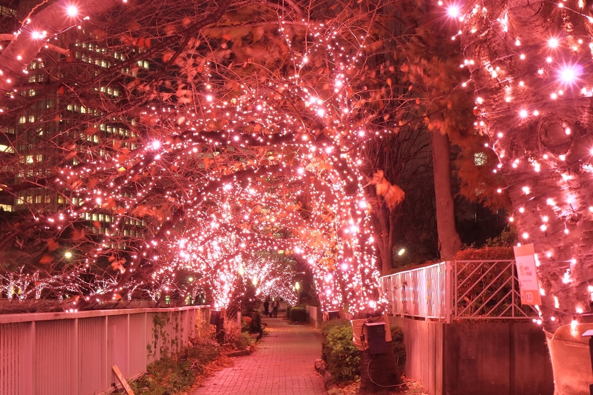 目黒川みんなのイルミネーション　まさに「冬の桜のトンネル」