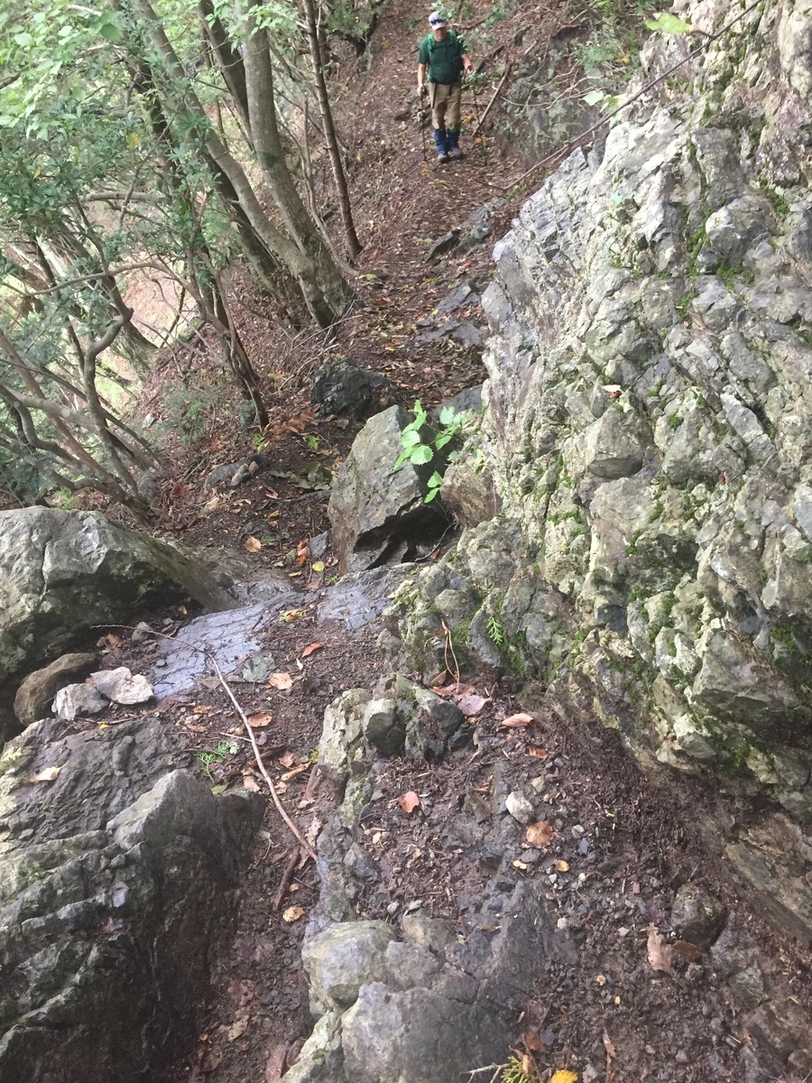 f:id:sasabou1973:20200713220337j:plain f:id:sasabou1973:20200713220337j:plain
