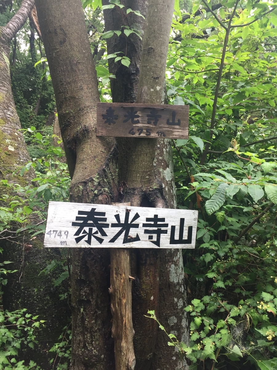 f:id:sasabou1973:20200807101246j:plain f:id:sasabou1973:20200807101246j:plain