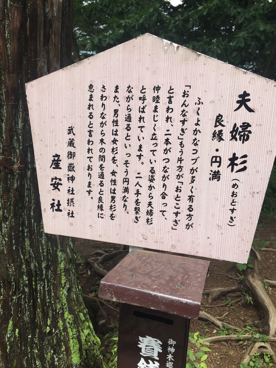 f:id:sasabou1973:20200816180936j:plain f:id:sasabou1973:20200816180936j:plain