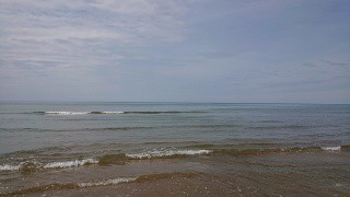 f:id:sasahake:20190520215835j:image f:id:sasahake:20190520215835j:image