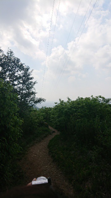 f:id:sasahake:20190520220040j:image f:id:sasahake:20190520220040j:image