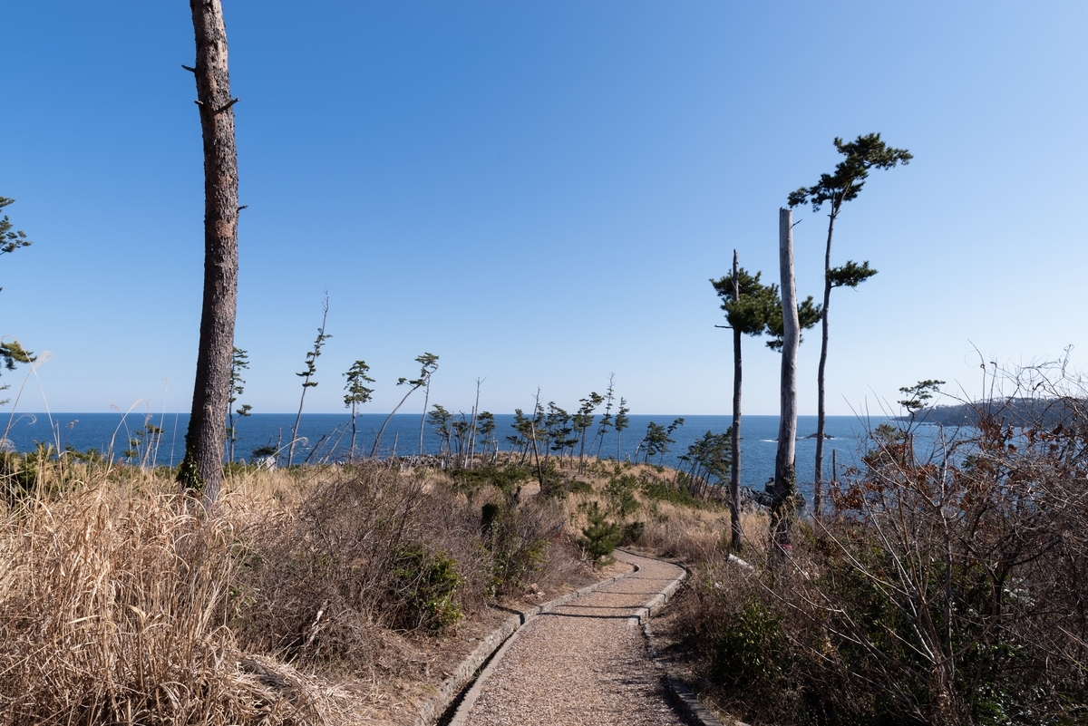 春の三陸海岸をドライブしてきた - 青藍寫眞館