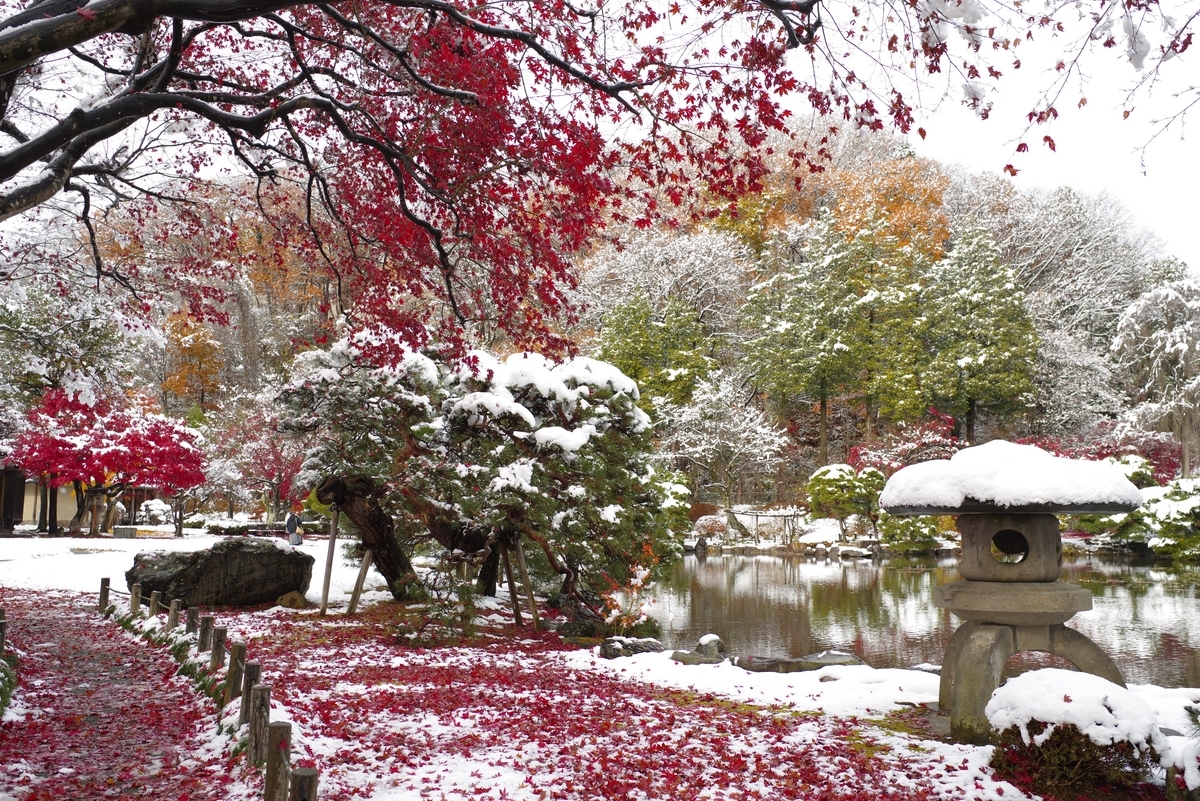 雪と紅葉のマリアージュを楽しむ - 青藍寫眞館