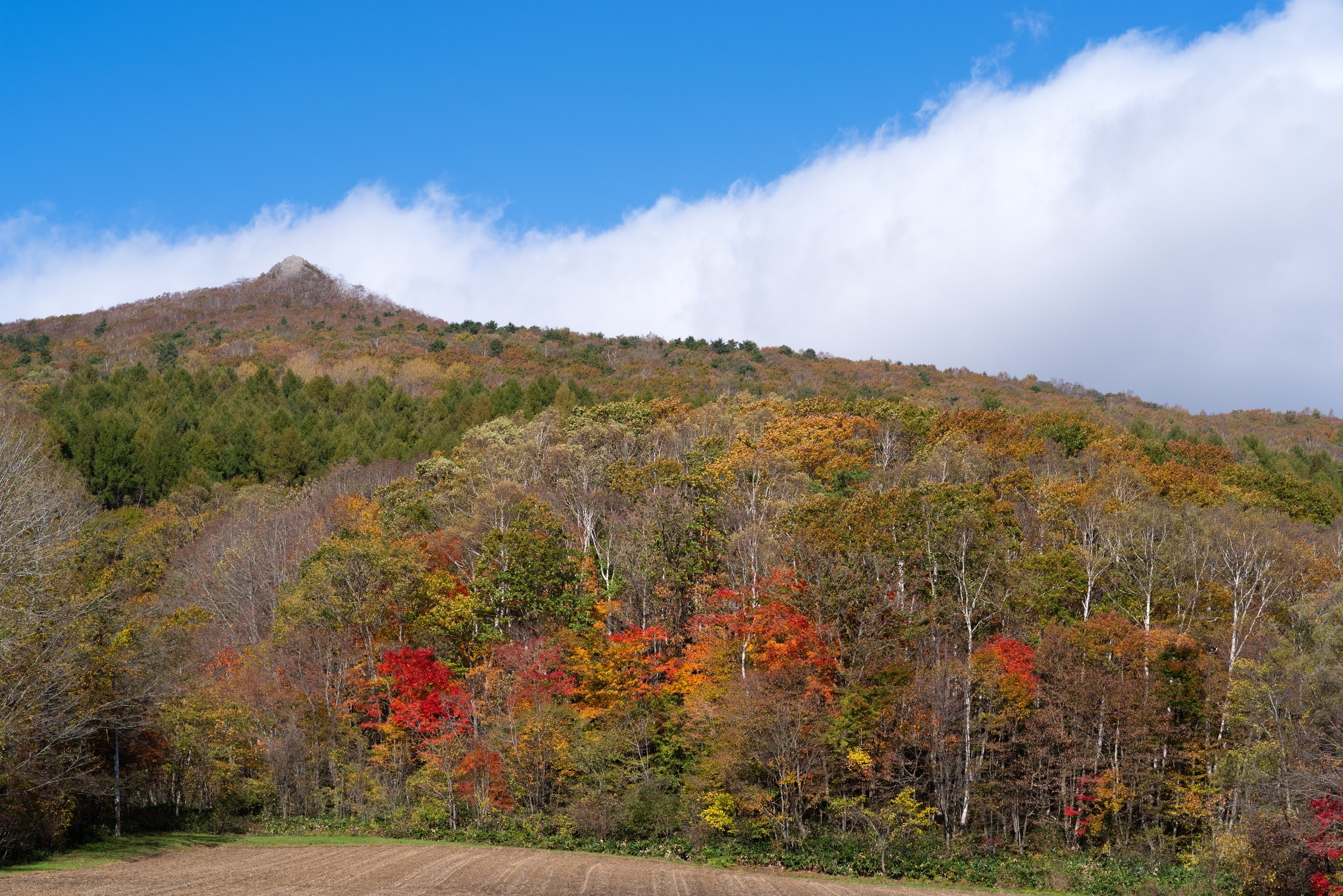 兜明神岳に紅葉を見に行く - 青藍寫眞館