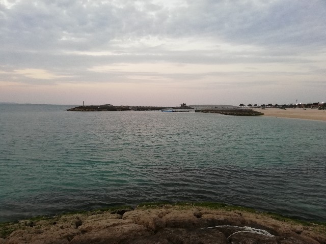 f:id:sasakei26:20190318225716j:image