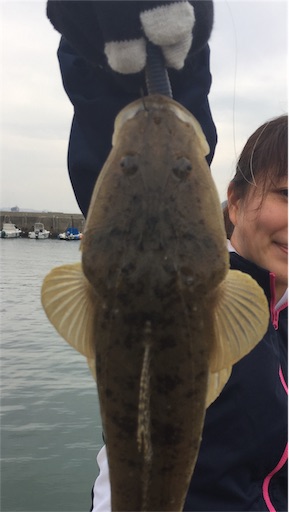 f:id:sasaki07takefumi05:20190116045035j:image f:id:sasaki07takefumi05:20190116045035j:image