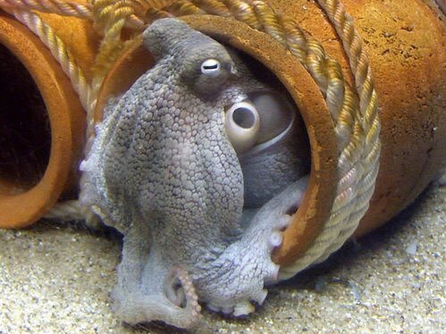 堤防釣り
