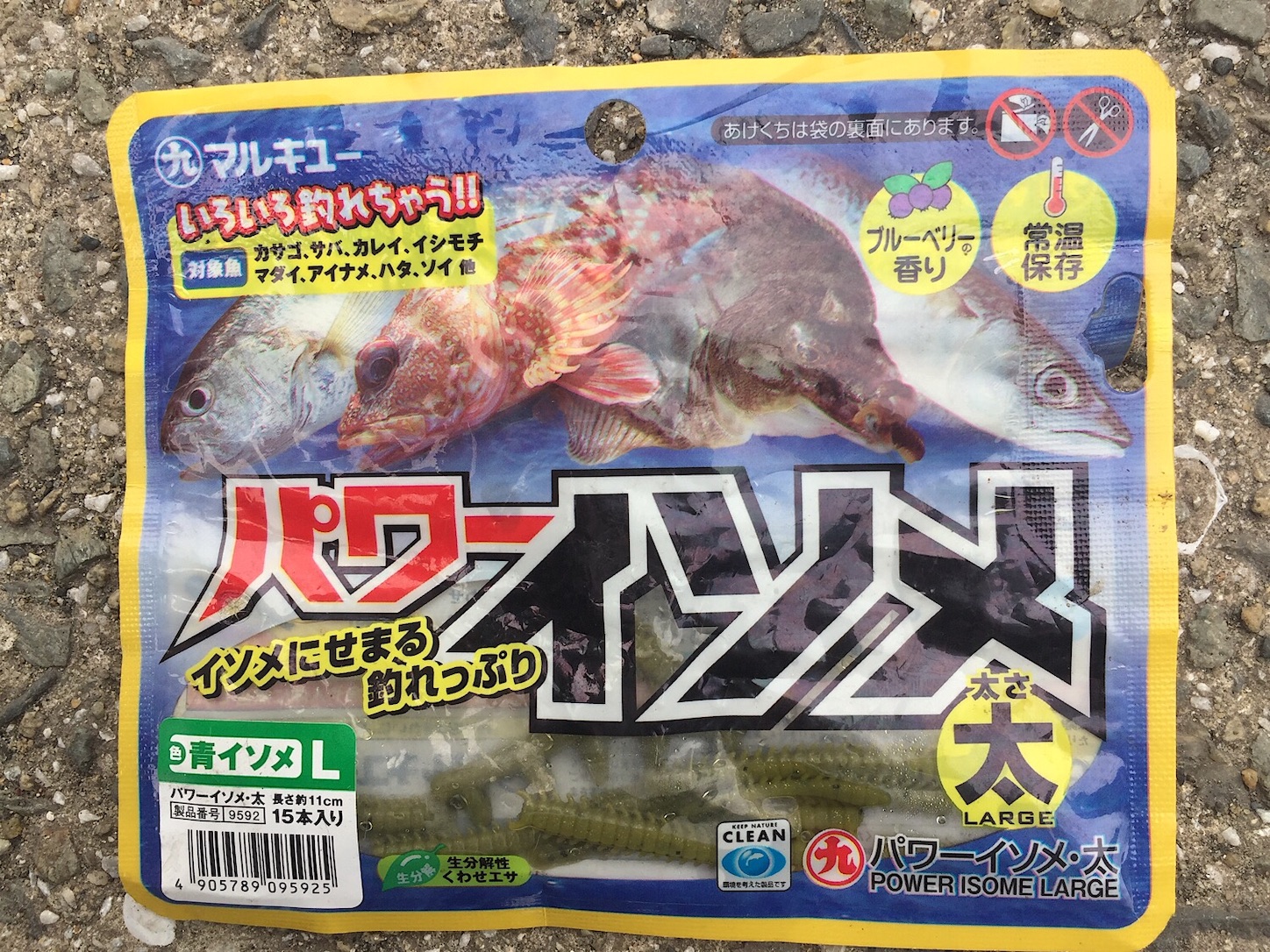 堤防カワハギ釣り カワハギの群れが集まる激熱ポイントはココだ Taketiyo釣りブログ