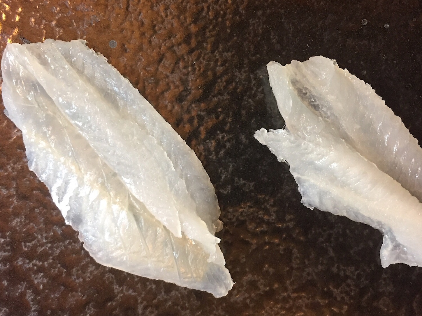 f:id:sasaki07takefumi05:20191027161101j:image