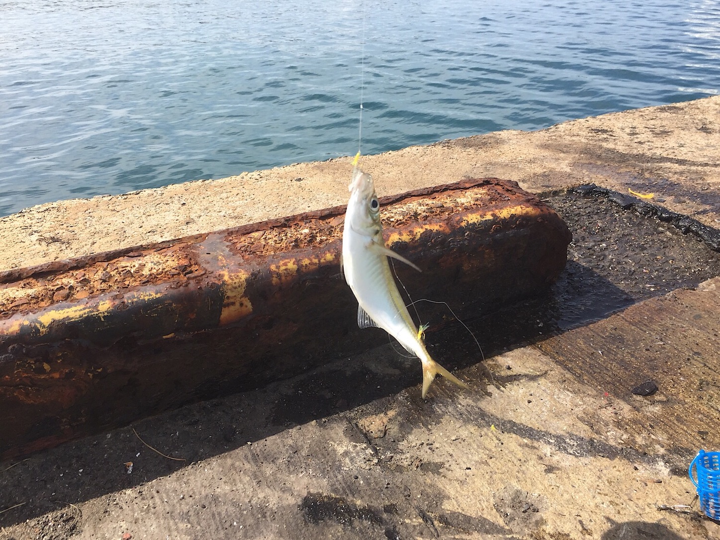 冬の堤防サビキ釣り 冬でもアジが釣れる場所と冬良く釣れる時間帯 Taketiyo釣りブログ