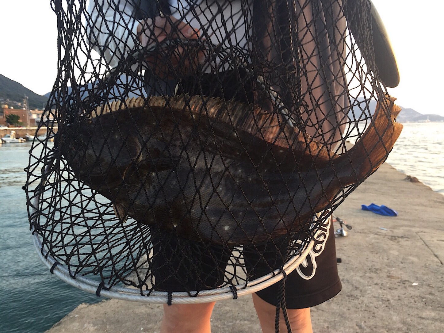 f:id:sasaki07takefumi05:20191221124518j:image