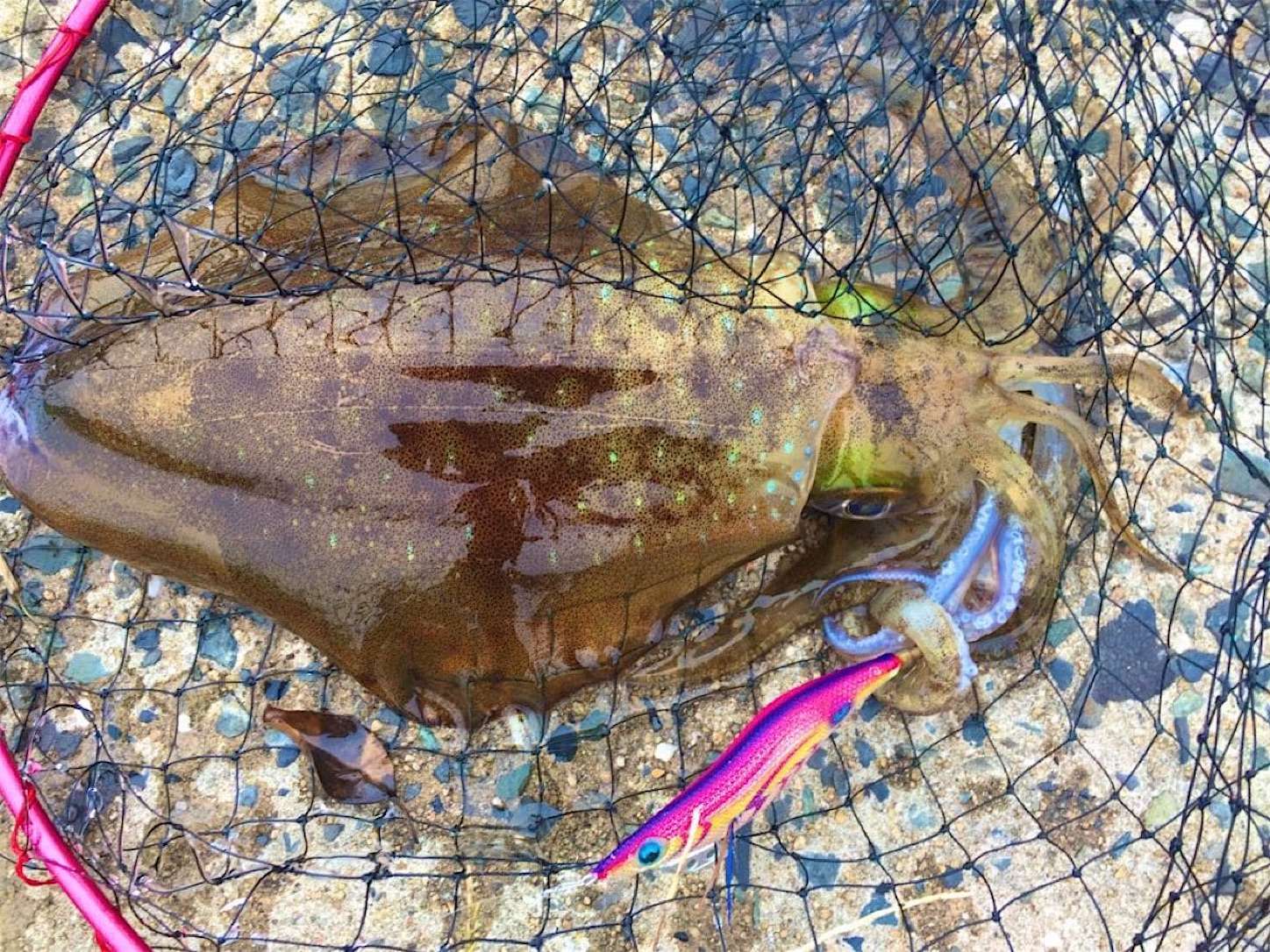 堤防釣り 堤防釣り