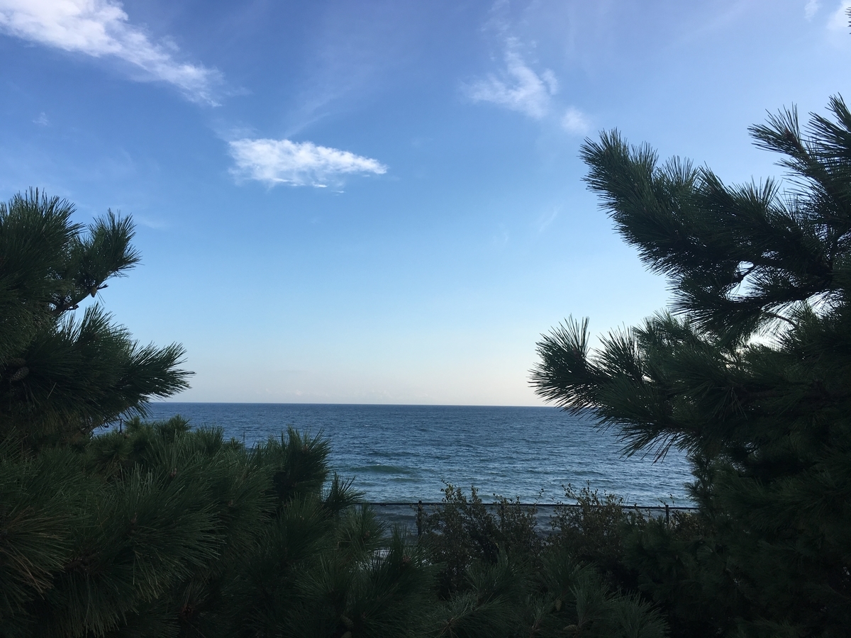 f:id:sasaki3dori:20191009212311j:plain f:id:sasaki3dori:20191009212311j:plain
