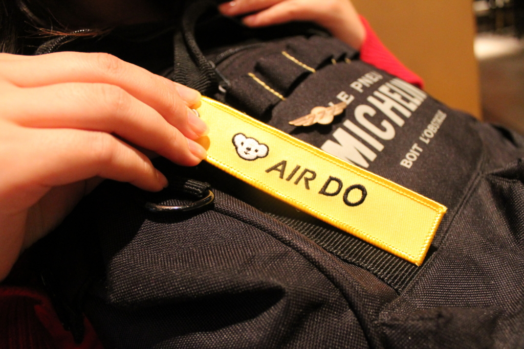 飛行機女子 音だけで識別可能 空美ちゃん の飛行機愛に迫る Yorimichi Airdo 旅のよりみちをお手伝い