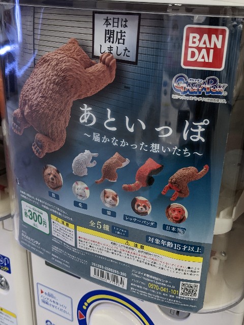f:id:sasakinorikooo:20220908101455j:image f:id:sasakinorikooo:20220908101455j:image