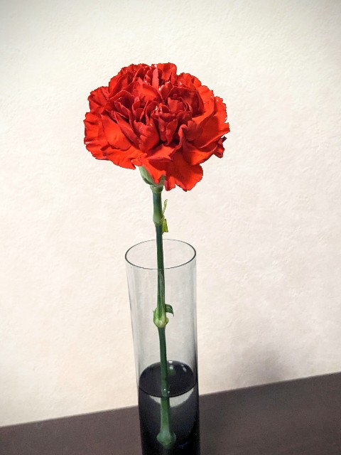 f:id:sasakinorikooo:20240513091858j:image