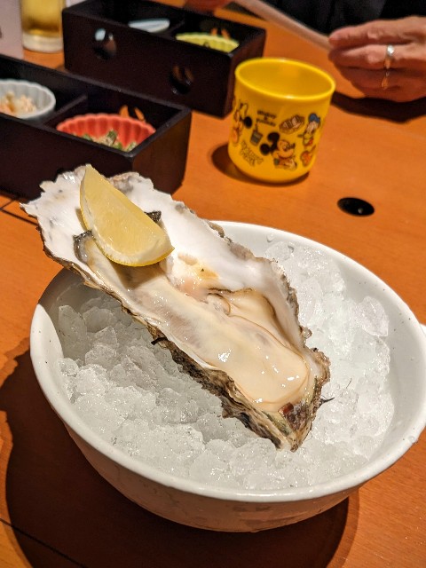 f:id:sasakinorikooo:20240725070842j:image