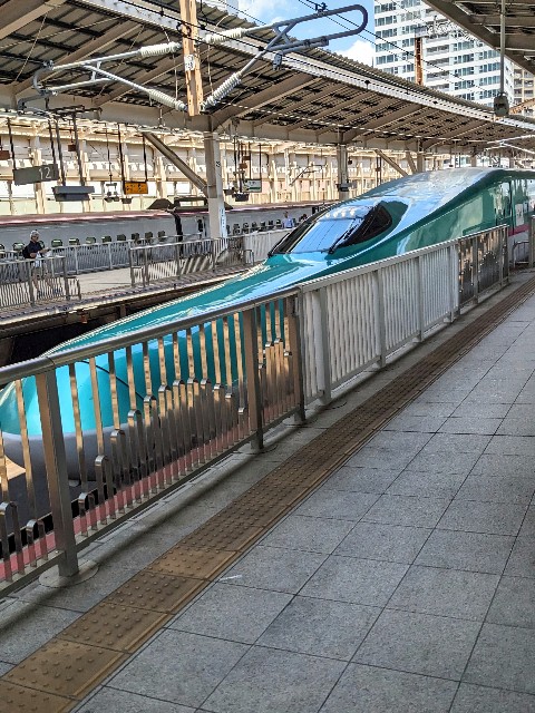 f:id:sasakinorikooo:20240725071249j:image