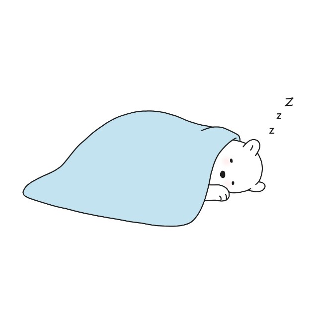 f:id:sasakinorikooo:20250323091208j:image