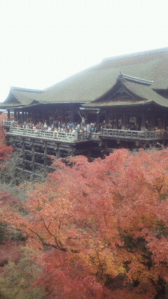 f:id:sasameyuki47:20111203121000j:image
