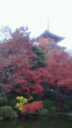 f:id:sasameyuki47:20111203122600j:image